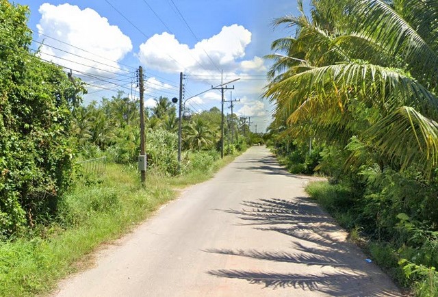 ขายที่ดิน พร้อมสวนเกษตร (สวนยาง+มะพร้าว) ต.ชัยบุรี อ.เมืองพัทลุง จ.พัทลุง 7-1-88 ไร่ ราคา 5.5 ล้านบาท