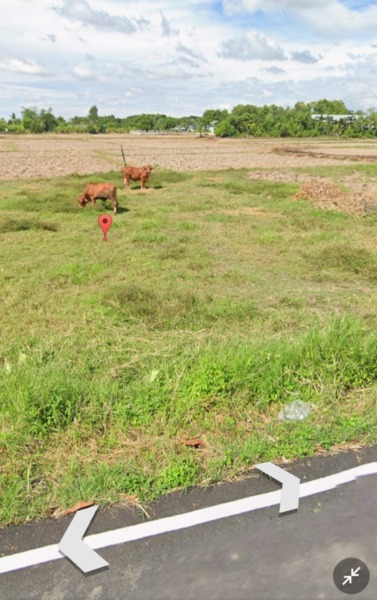 ขายที่ดินดอยสะเก็ด 2-3-33 ตรว 7.36 ล้าน อ.ดอยสะเก็ด ต.ลวงเหนือ -ที่ดินติดลำเหมือง 2 ด้าน -ด้านหน้าติดถนนลาดยาง  -มีไฟฟ้า,ประปา พร้อม สนใจติดต่อ  โทร 0903179683//0810544672