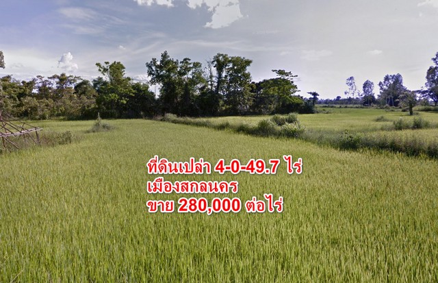 ที่ดินเปล่าทำเลทอง เพียง 10 กิโลเมตร จากใจกลางเมือง 4-0-49.7 ไร่ ฮางโฮง สกลนคร เดินทางสะดวก มีสาธารณูปโภคครบ เหมาะสำหรับ