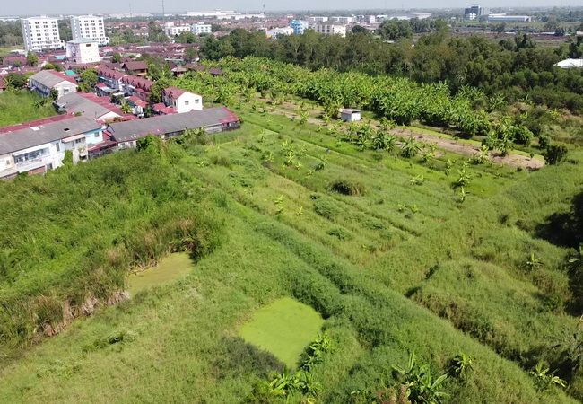 ขายที่ดิน ซอยสุสวาส 1 คลองหก ถนนรังสิต-นครนายก ธัญบุรี ปทุมธานี