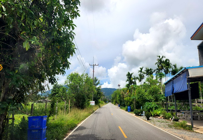 ขายที่ดิน เขายายดา ทางหลวงชนบท ถนนสุขุมวิท ตำบลตะพง อำเภอเมือง ระยอง