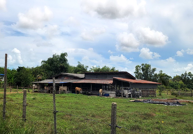 ขายที่ดิน เขายายดา ทางหลวงชนบท ถนนสุขุมวิท ตำบลตะพง อำเภอเมือง ระยอง