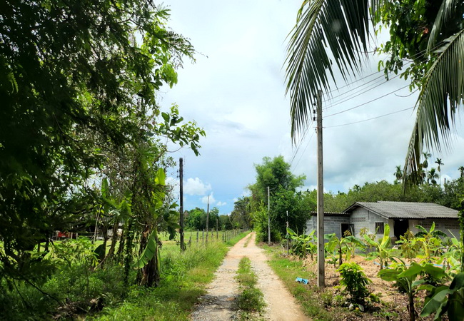 ขายที่ดิน เขายายดา ทางหลวงชนบท ถนนสุขุมวิท ตำบลตะพง อำเภอเมือง ระยอง