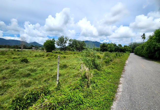 ขายที่ดิน เขายายดา ทางหลวงชนบท ถนนสุขุมวิท ตำบลตะพง อำเภอเมือง ระยอง