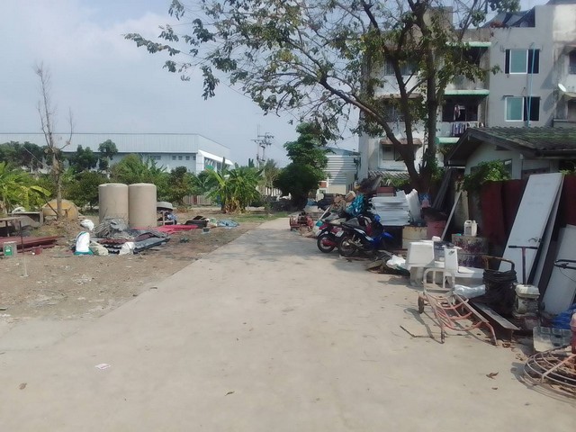 พื้นที่ดิน ที่ดินบางศรีเมือง จ.นนทบุรี 1324 sq.wa ใกล้กับ ห่างท่าเรือบางศรีเมือง 600 ม. ราคาถูกกว่าตลาด เป็นที่ดินทรงสี่