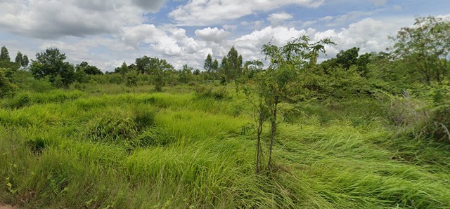 ที่ดิน ที่ดิน อ.เมืองชัยภูมิ จ.ชัยภูมิ ราคาดีสุด