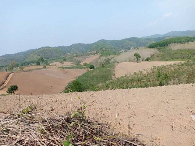 พื้นที่ดิน ที่ดิน ต.ปอน อ.ทุ่งช้าง จ.น่าน 408 RAI 1 NGAN 3 ตาราง-วา ใกล้กับ ห่างด่านตรวจคนเข้าเมืองไทยลาวประมาณ 25 กิโลเ