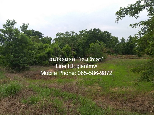 ที่ดิน ที่ดิน ต.บ้านเล่า อ.เมืองชัยภูมิ จ.ชัยภูมิ 16890300 บ. ใกล้กับ ห่างจากถนนทางหลวงหมายเลข 201 ประมาณ 2 กม. และตัวเม