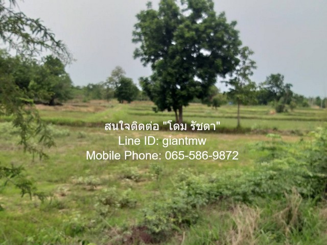 ที่ดิน ที่ดิน ต.บ้านเล่า อ.เมืองชัยภูมิ จ.ชัยภูมิ 16890300 บ. ใกล้กับ ห่างจากถนนทางหลวงหมายเลข 201 ประมาณ 2 กม. และตัวเม