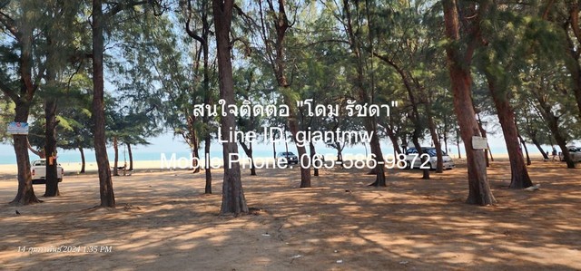 ขายโรงแรมใกล้ชายหาดชะอำ ขนาด 20 ห้อง (อาคาร 3.5 ชั้น 4 คูหาติดกัน) 64 ตร.ว., ราคา 12 ล้านบาท (ฟรีค่าโอน)