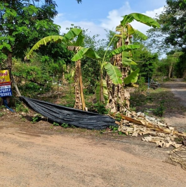 ขายที่ดินติดรั้วรพ.ศูนย์มะเร็งอุดร138ตรว.