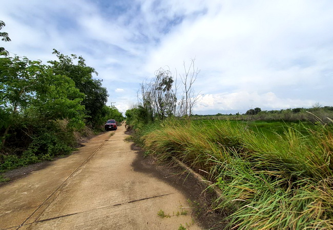 ขายที่ดิน คลอง 13 ถนนรังสิต-นครนายก ตําบลศาลาครุ อําเภอหนองเสือ ปทุมธานี