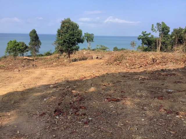 พื้นที่ดิน ที่ดิน หาดเล็ก จ.ตราด 48000000 BAHT ใกล้ ห่างด่านพรมแดนคลองใหญ่ ประมาณ1.7 กม. และ เกาะกูด ประมาณ 33 กม. ถูกสุ