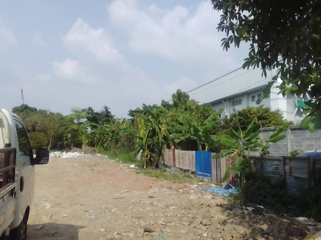 SALE พื้นที่ดิน ที่ดินบางศรีเมือง จ.นนทบุรี 79446000 – area 24 Square Wah 1 NGAN 3 RAI ใกล้กับ ห่างท่าเรือบางศรีเมือง 60