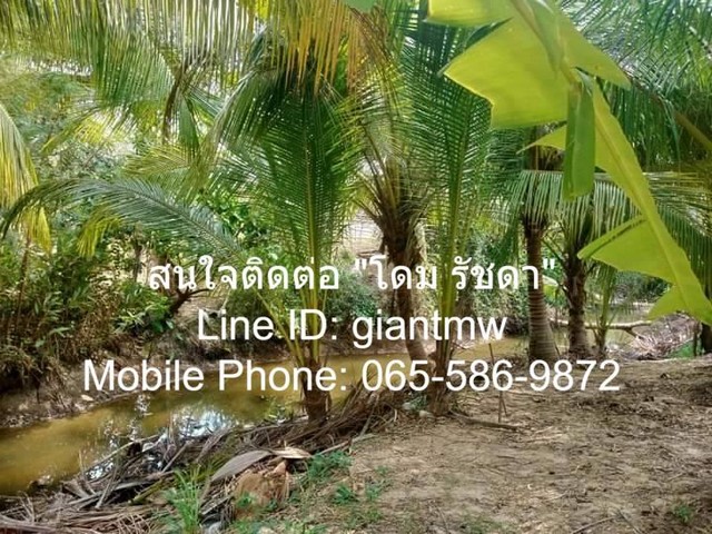 พื้นที่ดิน ที่ดิน ต.สามกระทาย อ.กุยบุรี จ.ประจวบคีรีขันธ์ 5 ไร่ 2 NGAN 20 SQ.WA 1900000 THAI BAHT ใกล้กับ อยู่ห่างองค์กา