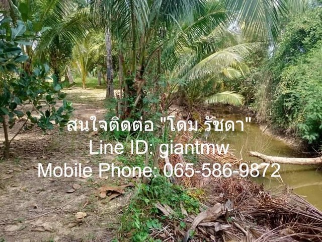 พื้นที่ดิน ที่ดิน ต.สามกระทาย อ.กุยบุรี จ.ประจวบคีรีขันธ์ 5 ไร่ 2 NGAN 20 SQ.WA 1900000 THAI BAHT ใกล้กับ อยู่ห่างองค์กา