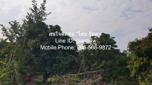 ขายที่ดินสวนลำไย ต.ขุนคง อ.หางดง จ.เชียงใหม่ (น.ส.4 จ) 2 ไร่, 2.5 ล้านบาท