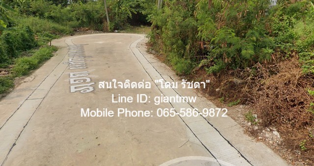 ขายที่ดินจัดสรรใน “หมู่บ้านจามจุรี บางบัวทอง จ.นนทบุรี” (ห่างถนนราชพฤกษ์ 4 กม.) เนื้อที่ 114 ตร.ว., 3.25 ล้านบาท