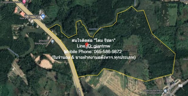 ขายที่ดินเปล่าสวนปาล์ม อ.ท้ายเหมือง จ.พังงา 36-2-23.4 ไร่ (ติดถนนเพชรเกษม), 2.5ล้านบาท/ไร่