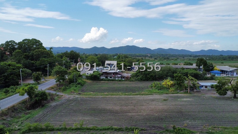 ขายที่ดิน 25 ไร่ ริมถนนซอยพิบูลย์อนุสรณ์ พระพุทธบาท สระบุรี