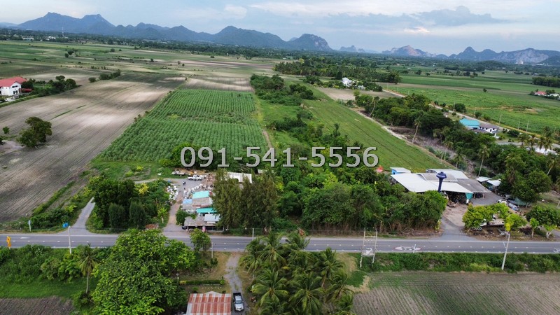 ขายที่ดิน 25 ไร่ ริมถนนซอยพิบูลย์อนุสรณ์ พระพุทธบาท สระบุรี