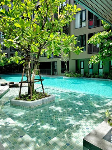 For Rent : Wichit, The Base Central Phuket, Studio room, 7th flr.