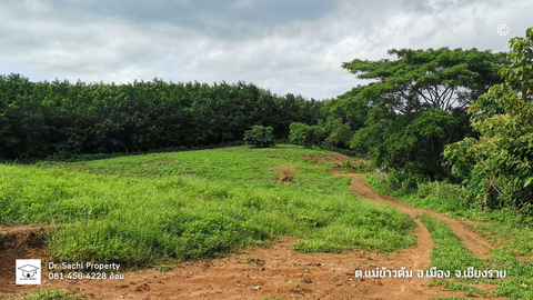 ขายที่ดินสวย 25-2-58 ไร่ บรรยากาศดี ใกล้ ไร่พีบีวัลเล่ย์ จ.เชียงราย