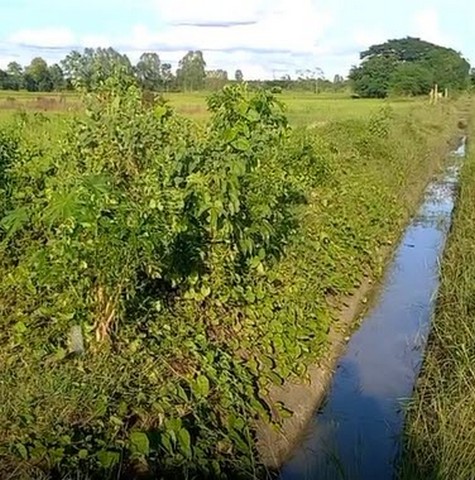 พื้นที่ดิน ขายที่ดินทุ่งนา บ้านนาเพียง ต.สำราญ อ.เมืองขอนแก่น จ.ขอนแก่น ขนาด = 3224 SQ.WA 6200000 – ราคาสุดพิเศษ ขอนแก่น