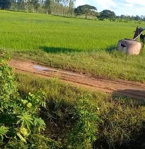 พื้นที่ดิน ขายที่ดินทุ่งนา บ้านนาเพียง ต.สำราญ อ.เมืองขอนแก่น จ.ขอนแก่น ขนาด = 3224 SQ.WA 6200000 – ราคาสุดพิเศษ ขอนแก่น