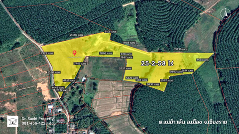 ขายที่ดินสวย 25-2-58 ไร่ บรรยากาศดี ใกล้ ไร่พีบีวัลเล่ย์ จ.เชียงราย