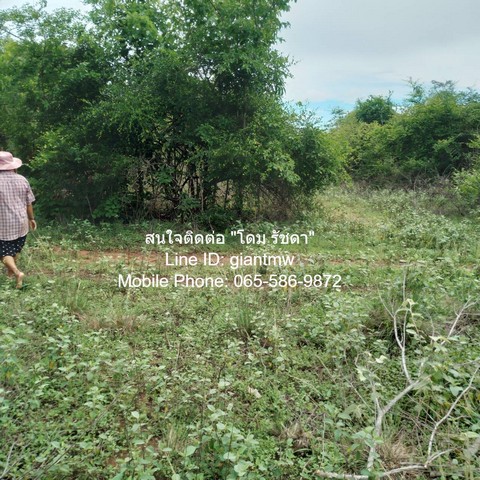 ขายที่ดินบ้านทุ่งเคล็ด แก่งกระจาน จ.เพชรบุรี 17-2-96.4 ไร่ (ห่างทางหลวง 3501 800 ม.), ราคา 7.7 ล้านบาท