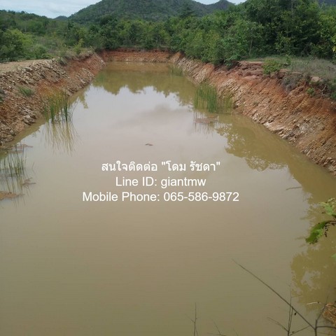 ขายที่ดินบ้านทุ่งเคล็ด แก่งกระจาน จ.เพชรบุรี 17-2-96.4 ไร่ (ห่างทางหลวง 3501 800 ม.), ราคา 7.7 ล้านบาท