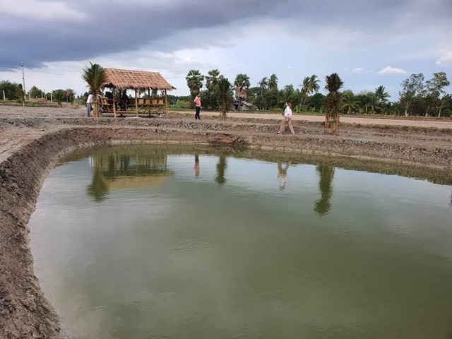 ที่ดินโคกหนองนา บรรยากาศดี สำหรับยามเกษียณ ไร่ละ 690,000 จ.เพชรบุรี