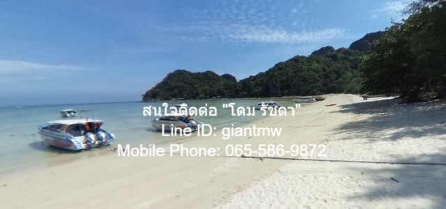 ที่ดิน ที่ดินเกาะพีพี จ.กระบี่ 5000000 บาท. ไม่ไกลจาก Loh Lana Bay (500 ม.) NICE