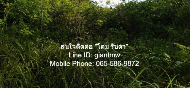 ที่ดิน ที่ดินเกาะพีพี จ.กระบี่ 5000000 บาท. ไม่ไกลจาก Loh Lana Bay (500 ม.) NICE