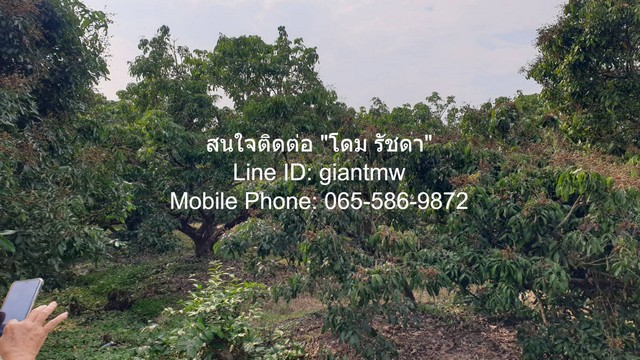 พื้นที่ดิน ขายที่ดินสวนลำไย ต.ขุนดง อ.หางดง จ.เชียงใหม่ (น.ส.4 จ) 2500000 THB 2 ไร่ 0 ngan 0 ตรว. ไม่ไกลจาก โรงพยาบาลหาง