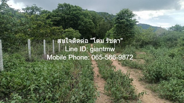 ที่ดิน ที่ดิน หัวหิน จ.ประจวบคีรีขันธ์ พ.ท. 0 ตรว. 0 NGAN 1 ไร่ 2500000 THAI BAHT ใกล้ ห่างถนนเพชรเกษม 4.8 กม. (ทางหลวงห