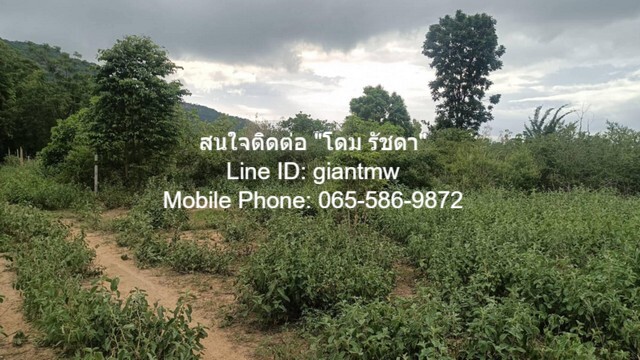 ที่ดิน ที่ดิน หัวหิน จ.ประจวบคีรีขันธ์ พ.ท. 0 ตรว. 0 NGAN 1 ไร่ 2500000 THAI BAHT ใกล้ ห่างถนนเพชรเกษม 4.8 กม. (ทางหลวงห