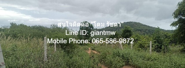 ที่ดิน ที่ดิน หัวหิน จ.ประจวบคีรีขันธ์ พ.ท. 0 ตรว. 0 NGAN 1 ไร่ 2500000 THAI BAHT ใกล้ ห่างถนนเพชรเกษม 4.8 กม. (ทางหลวงห