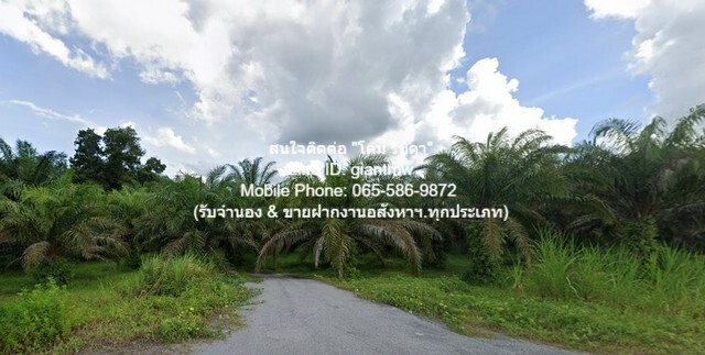 พื้นที่ดิน ที่ดิน ทุ่งมะพร้าว อ.ท้ายเหมือง จ.พังงา 23 ตร.วา 2 งาน 36 RAI 91396250 – เ ยี่ ย ม! พังงา