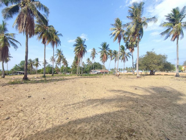 ขายที่ดิน 2 ไร่ กุยบุรี ติดถนนเลียบชายหาด กุยบุรี ห่างชายหาด 200เมตร เหมาะทำรีสอร์ท เวลเนส พูลวิลล่า