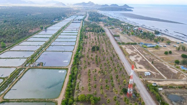 ขายที่ดิน 2 ไร่ กุยบุรี ติดถนนเลียบชายหาด กุยบุรี ห่างชายหาด 200เมตร เหมาะทำรีสอร์ท เวลเนส พูลวิลล่า