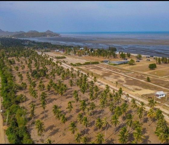 ขายที่ดิน 2 ไร่ กุยบุรี ติดถนนเลียบชายหาด กุยบุรี ห่างชายหาด 200เมตร เหมาะทำรีสอร์ท เวลเนส พูลวิลล่า