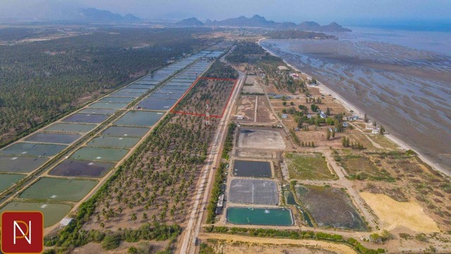 ขายที่ดิน 2 ไร่ กุยบุรี ติดถนนเลียบชายหาด กุยบุรี ห่างชายหาด 200เมตร เหมาะทำรีสอร์ท เวลเนส พูลวิลล่า