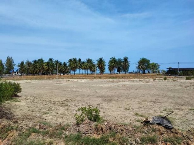 ขายที่ดิน 2 ไร่ กุยบุรี ติดถนนเลียบชายหาด กุยบุรี ห่างชายหาด 200เมตร เหมาะทำรีสอร์ท เวลเนส พูลวิลล่า