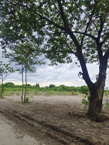 ขายที่ดินแปลงสวยไทรน้อย ถมแล้ว ถ.สุพรรณบางบัวทอง น้ำไฟพร้อม ราคาเริ่มต้น ตรว.ละ7000บาท.