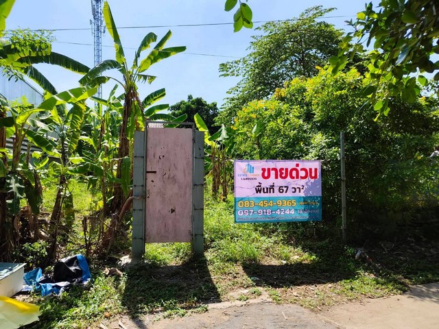 ขายที่ดิน 67 ตร.ว. ติดน้ำ ใกล้สนามบินสุวรรณภูมิ แถวลาดกระบัง พัฒนาชนบท 3