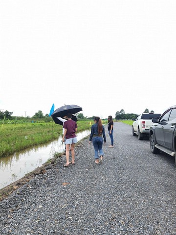 แบ่งแปลงที่ดินขาย คลอง11 หนองเสือ 100 ตรว. ใกล้ชุมชน สงบ ร่มรื่น เหมาะทำบ้านสวน