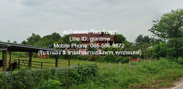 บ้าน ขายบ้าน ค.ส.ล. 1 ชั้น บ.โพนงาม ต.เพ็ญ อ.เพ็ญ จ.อุดรธานี พื้นที่ = 81 Square Wah 0 NGAN 7 ไร่ 2นอน2BATHROOM 1800000