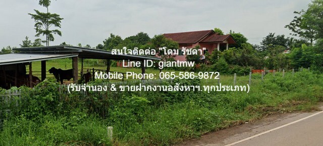 บ้าน ขายบ้าน ค.ส.ล. 1 ชั้น บ.โพนงาม ต.เพ็ญ อ.เพ็ญ จ.อุดรธานี 2BEDROOM2BR 1800000 บาท. ไม่ไกลจาก องค์การบริหารส่วนตำบลเพ็